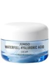 Waterfull Hyaluronic Acid Cream