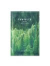 Skin1004 Tea-Trica Relaxing Mask 24ml
